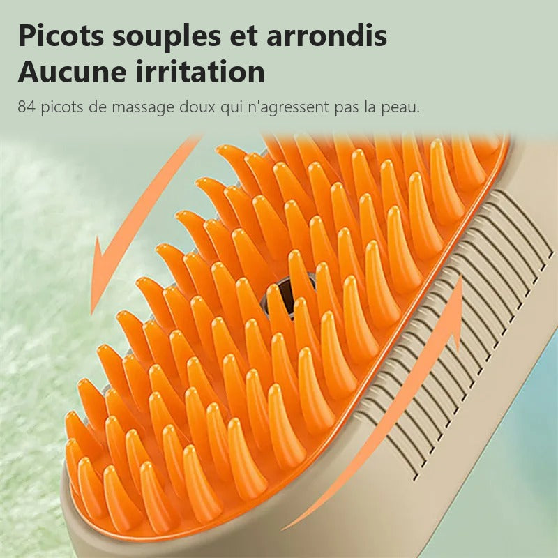Brosse Vapeur Électrique 3-en-1 — Démêlage, Massage, Anti-Poils