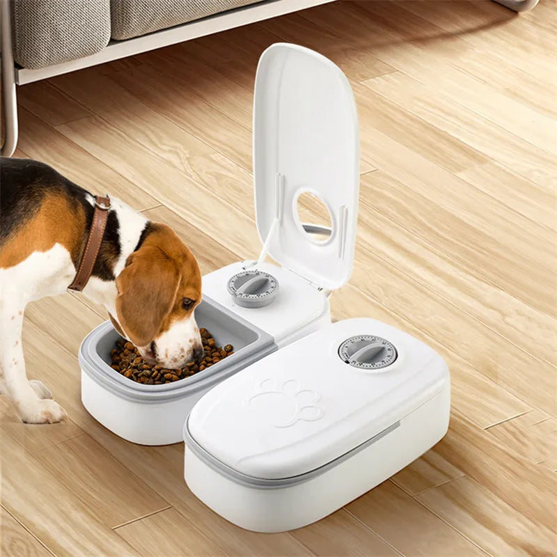 Distributeur Automatique de Croquettes — Pour Maîtres Absents