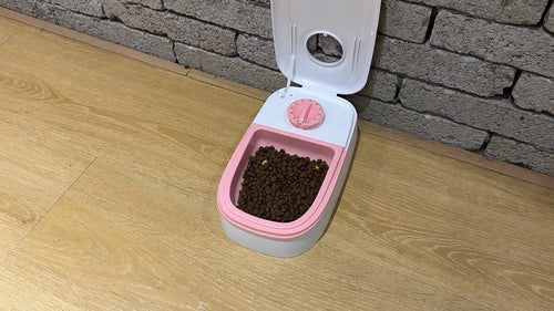 Distributeur Automatique de Croquettes — Pour Maîtres Absents